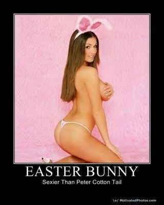 wp-1398004721338 image