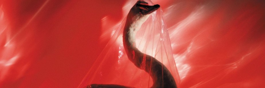 Depeche Mode  – 1981 – Speak And&nbsp;Spell