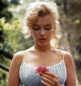 Marilyn flower