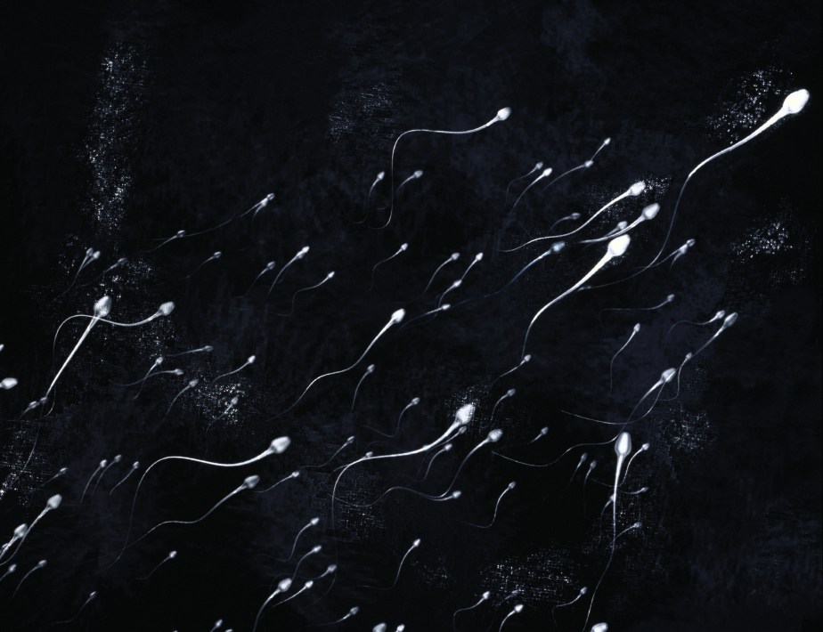 Guys, Your Smartphone Is Hurting Your&nbsp;Sperm
