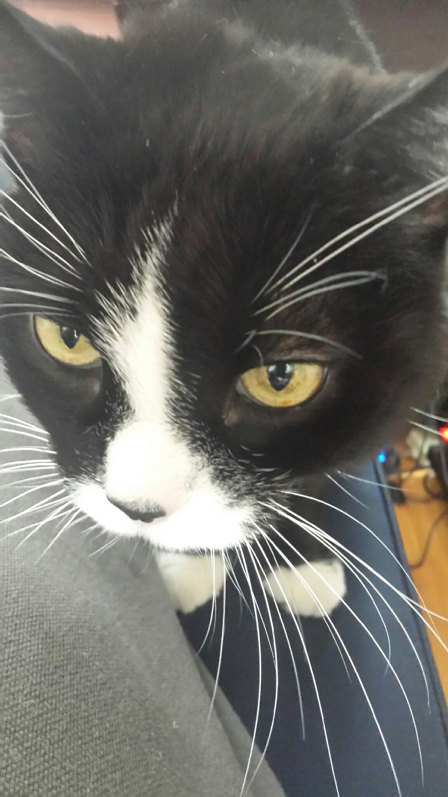 20140617_183222.jpg image