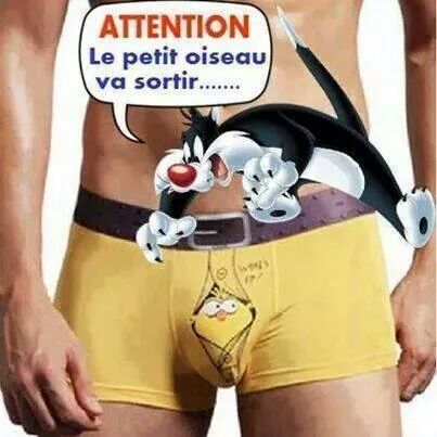 IMG_6660982737781.jpeg image