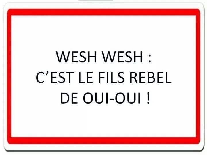 IMG_6999413981677.jpeg image