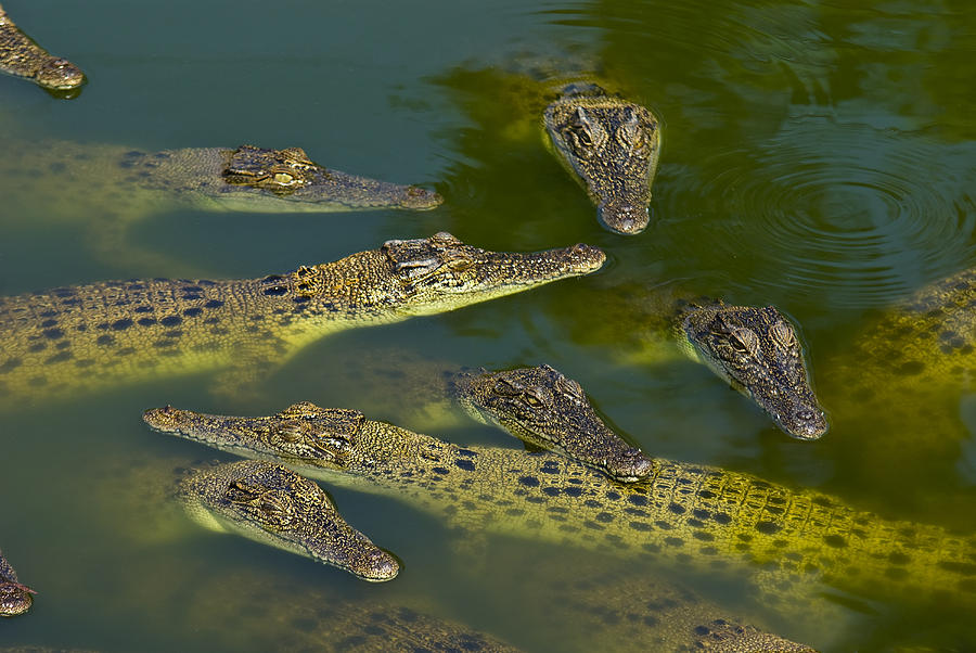Front national : les raisons d&rsquo;une&nbsp;ascension