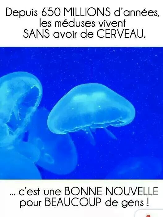 wp-1413457177686 image