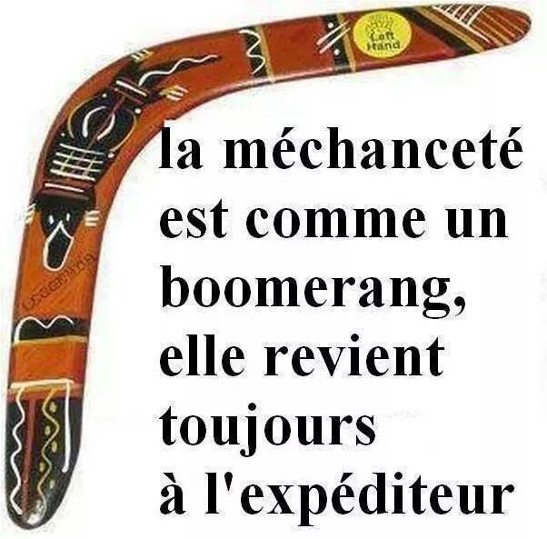 wp-1413561368423 image