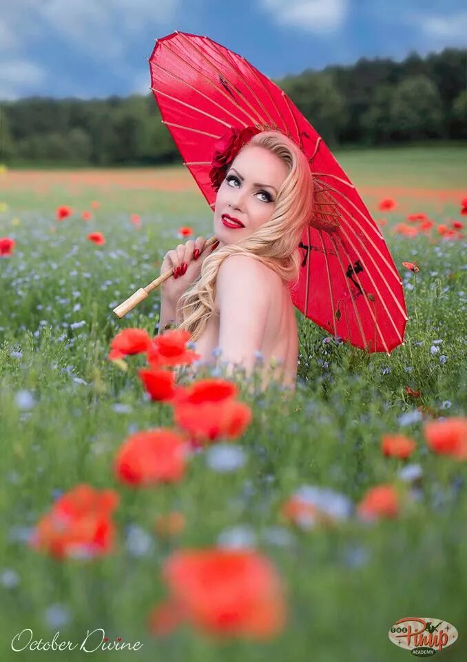 wp-1413794049321 image