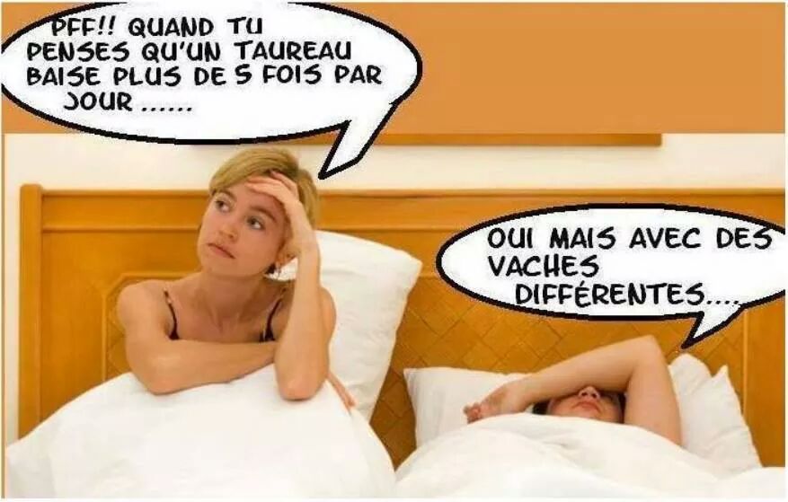 wp-1413994993963 image