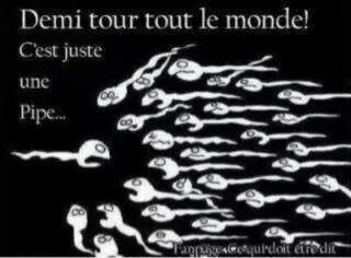 wp-1414160292088 image