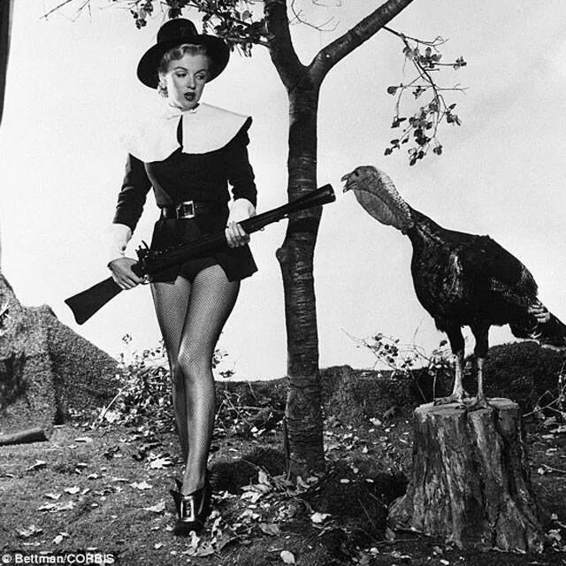 wp-1417107404661 image