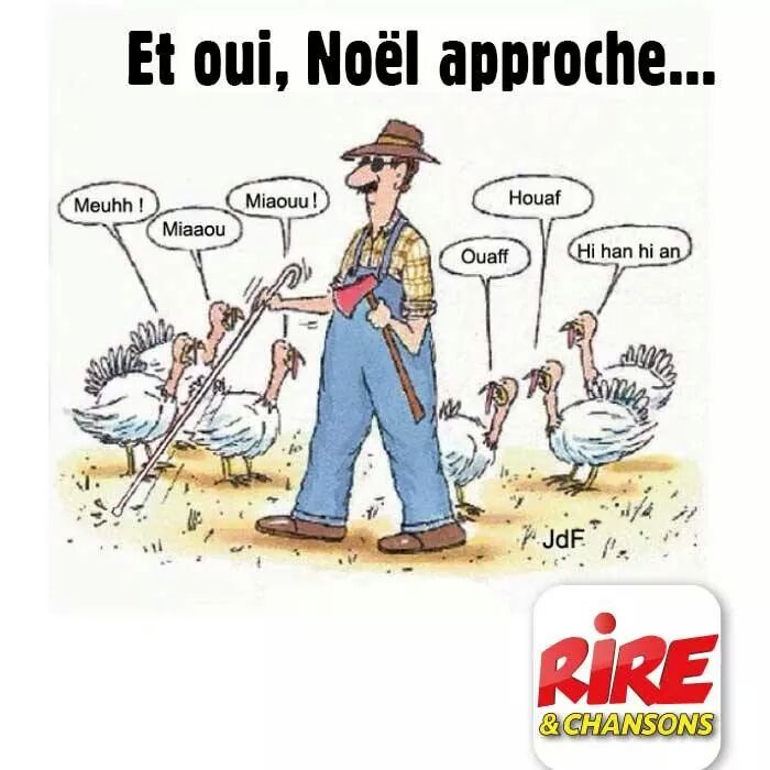 wp-1418042573933 image