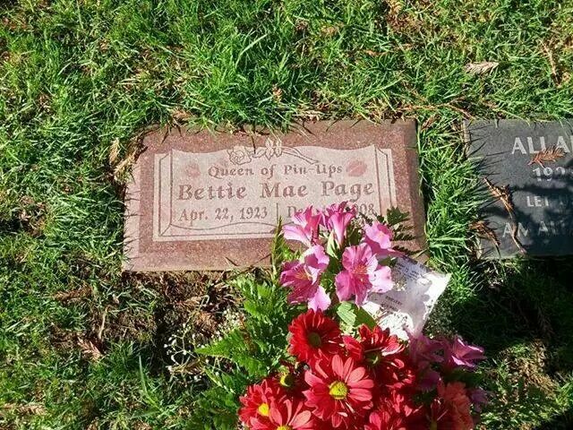 wp-1418395368946 image