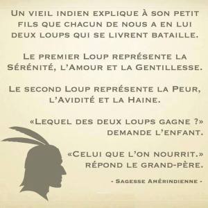 20150104_Pensées_2Loups
