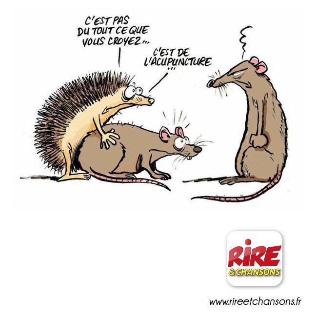 20150112_Humour_01_Acupuncture