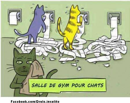 20150130_Humour_29