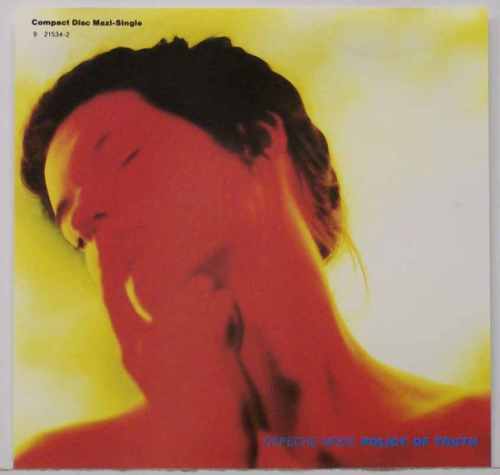 DM_Violator_03_PolicyOfTruth