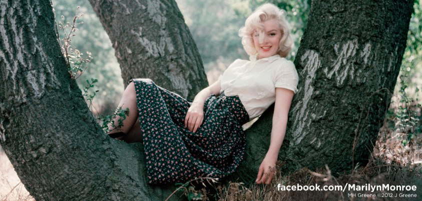 IMG_1360645467050.jpeg image