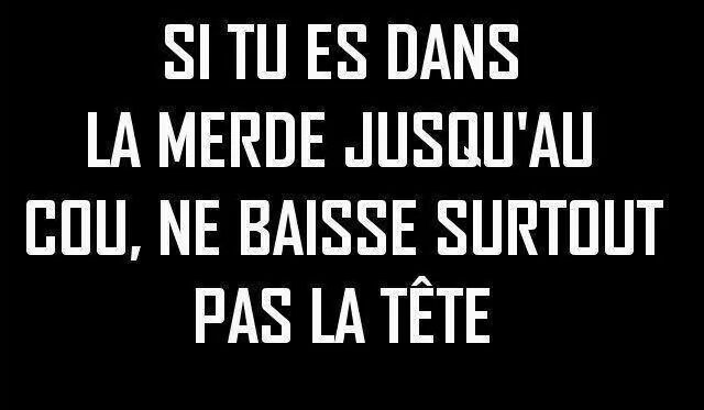 IMG_2365194681512.jpeg image