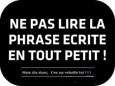 IMG_2373321939811.jpeg image