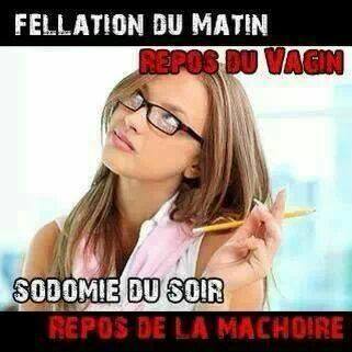 IMG_2751431192741.jpeg image