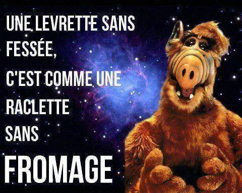 IMG_2811836161002.jpeg image