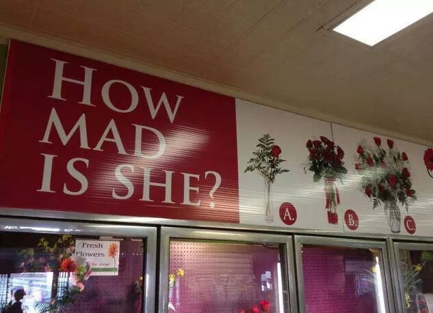 IMG_3787124902849.jpeg image