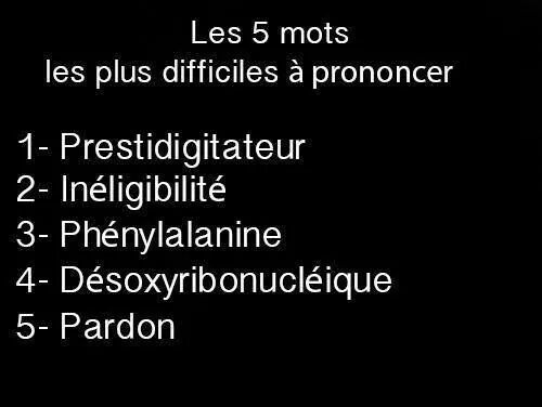 IMG_38273434632580.jpeg image