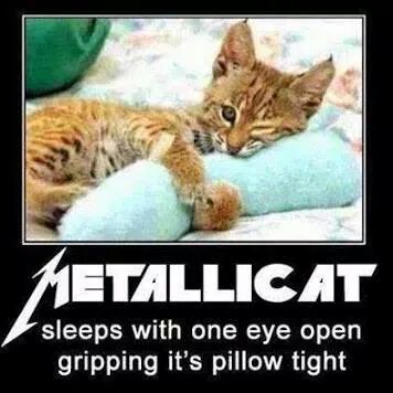 IMG_3900183649187.jpeg image