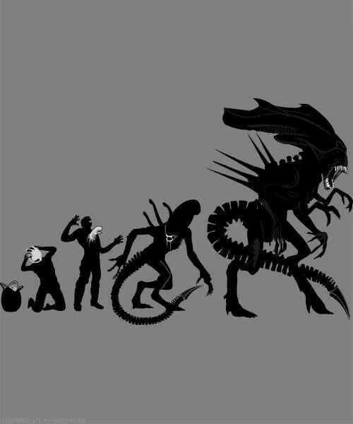 IMG_35483698903932.jpeg image