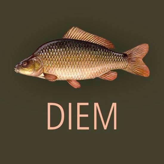 20150508 – Humour : Daily Selection / Sélection&nbsp;Journalière