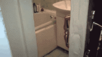 anigif_optimized-9046-1433180320-1