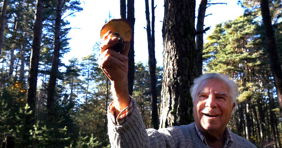 le potager de mon grand père