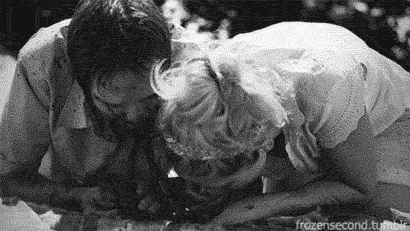 Cheezburger animated GIF