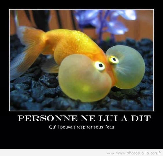 0ae54ca1567a51b59b706e4bdc88fb88